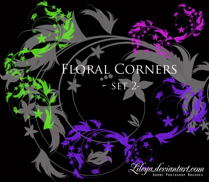Floral Corners - set 2 Photoshop brush