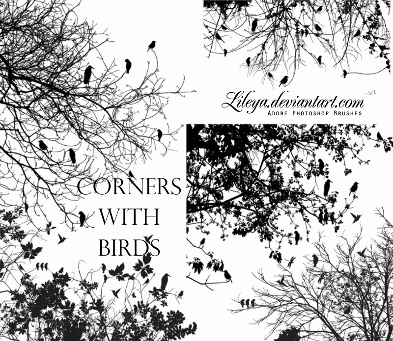 Corners with Birds - Nature Brushes | BrushLovers.com