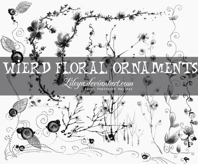 Weird Floral Ornaments Photoshop brush