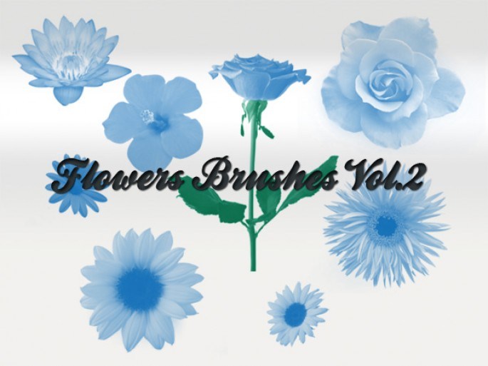 Flowers Vol 2 Photoshop brush