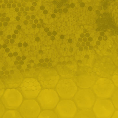 Free Honeycomb Brush Photoshop brush