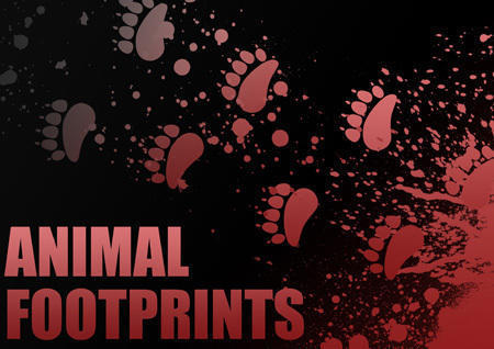 Individual Animal Footprint Brushes Photoshop brush