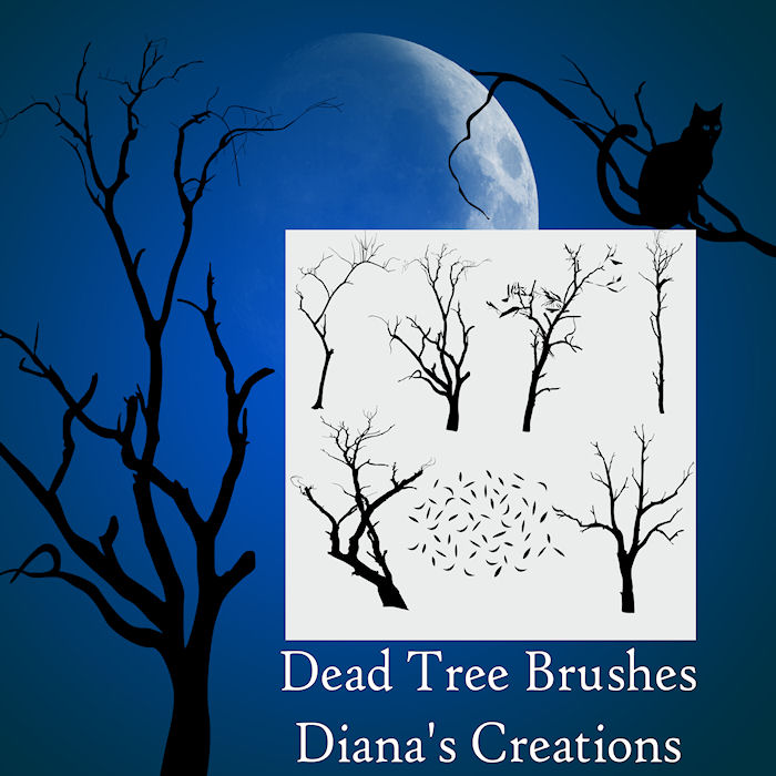 Dead Tree Brushes Nature Photoshop Brushes Brushlovers Com Dead Tree Brushes Nature Photoshop Brushes Brushlovers Com