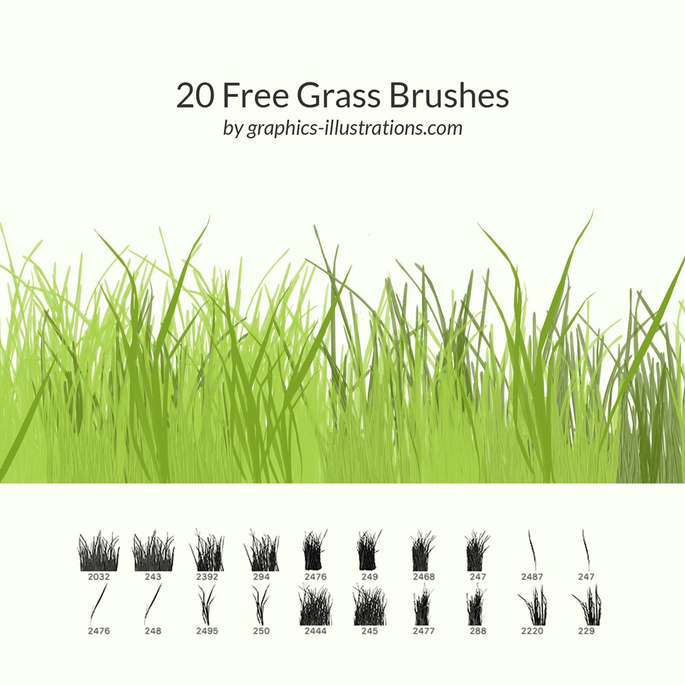 20 Free Grass Brushes Photoshop brush