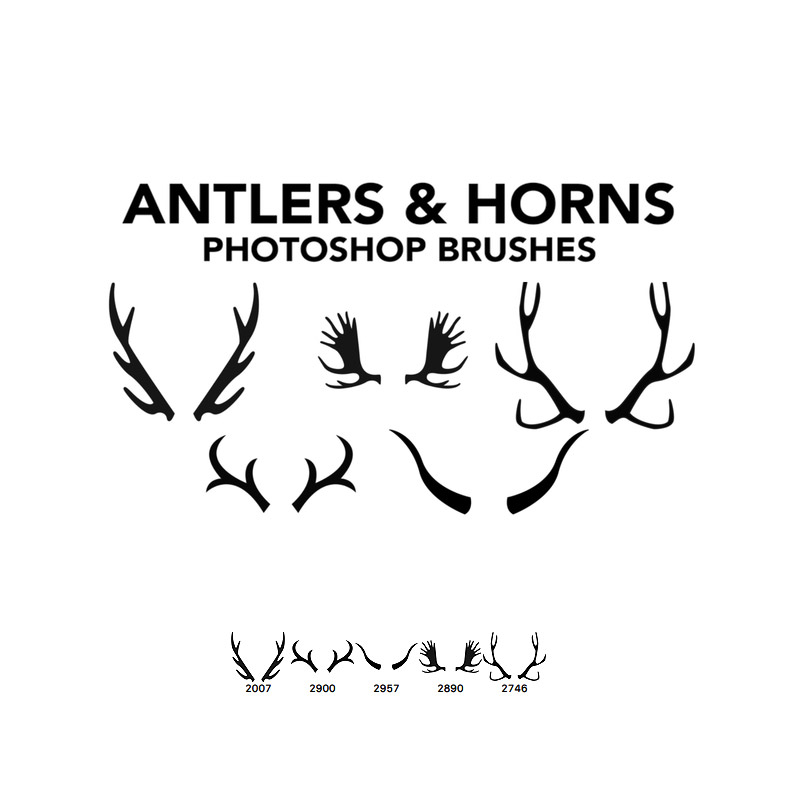 Antlers and Horns 5 Photoshop Brushes Photoshop brush