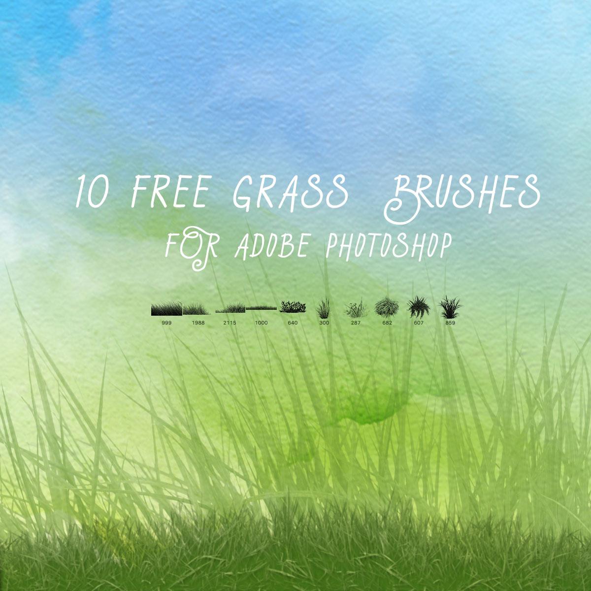 10 free grass brushes nature