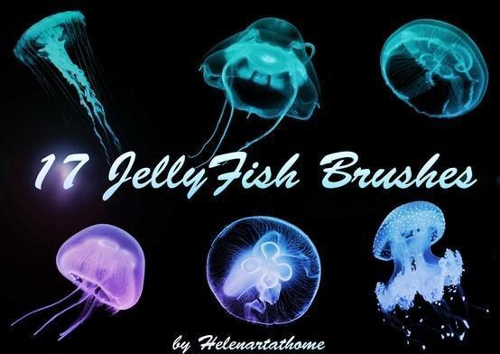 Jellyfish Brushes Photoshop brush