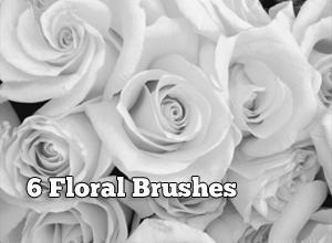 6 Stunning Floral Brushes Photoshop brush