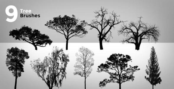 9 High Resolution Tree Brushes Photoshop brush