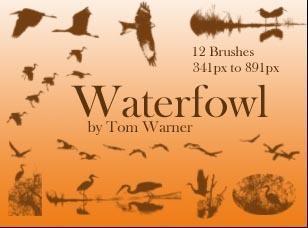 Waterfowl Photoshop brush