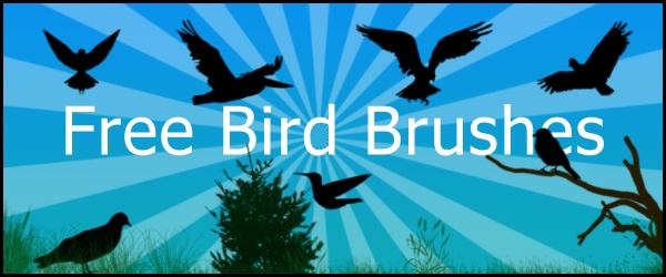 Bird Brushes Photoshop brush