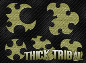 5 Thick Tribal Brushes Photoshop brush