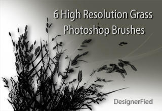 6 High Resolution Grass Brushes Photoshop brush