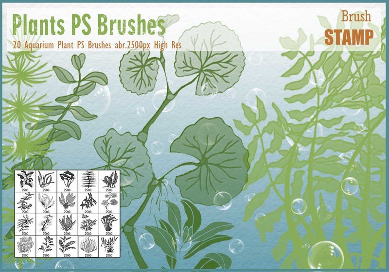 Aquarium Plant PS Brushes  Photoshop brush