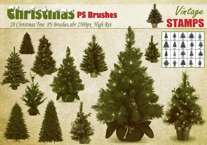 Christmas Tree PS Brushes  Photoshop brush