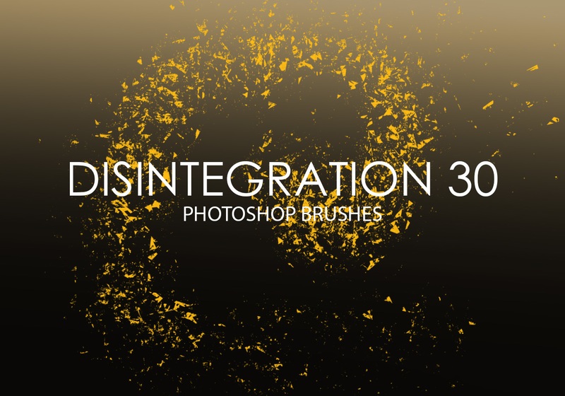 Free Disintegration Photoshop Brushes 30 Photoshop brush