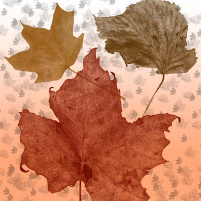 fall leaves brush pack flowers