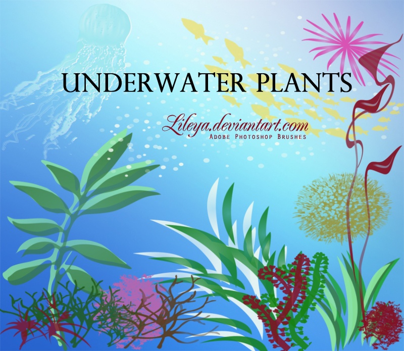 Underwater Plants Photoshop brush