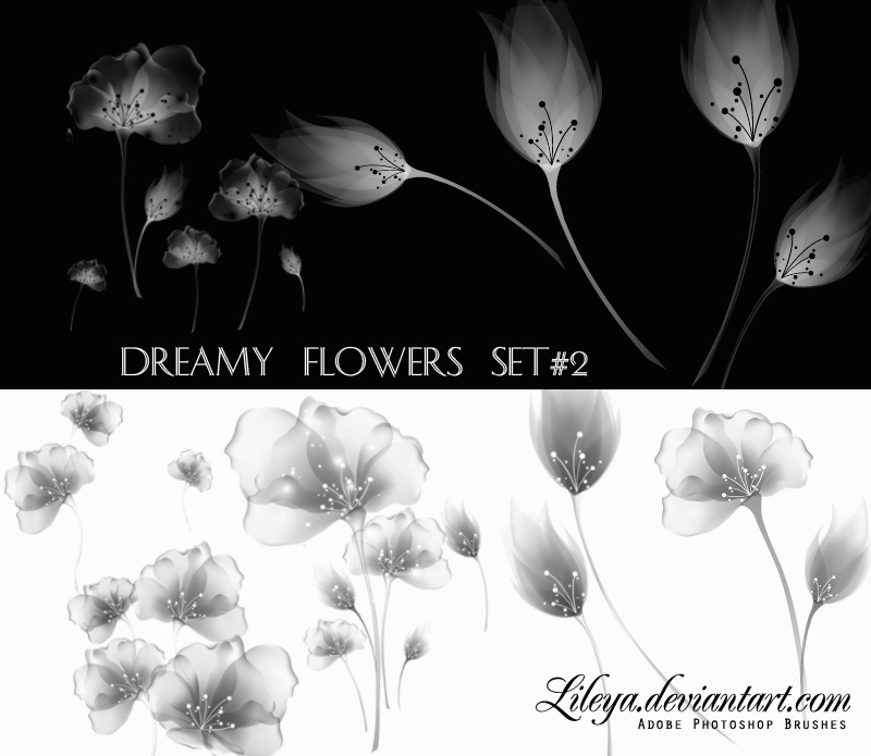 Dreamy Flowers set 2 Photoshop brush