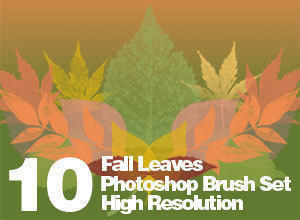 High Res Real Leaf Brushes Photoshop brush