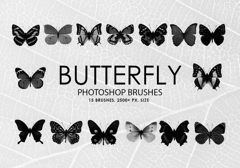 free butterfly photoshop brushes