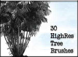 30 HighRes Tree Brushes Photoshop brush