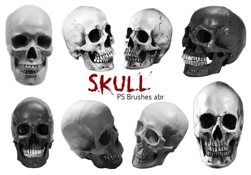 20 Skull PS Brushes abr vol.8 Photoshop brush