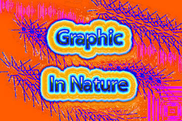 Graphic In Nature Photoshop brush