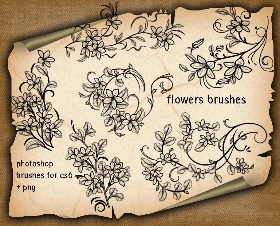 6 Floral Decorative Brushes Photoshop brush