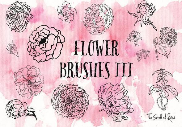 Flower Brushes Part 3 - The Smell of Roses Photoshop brush