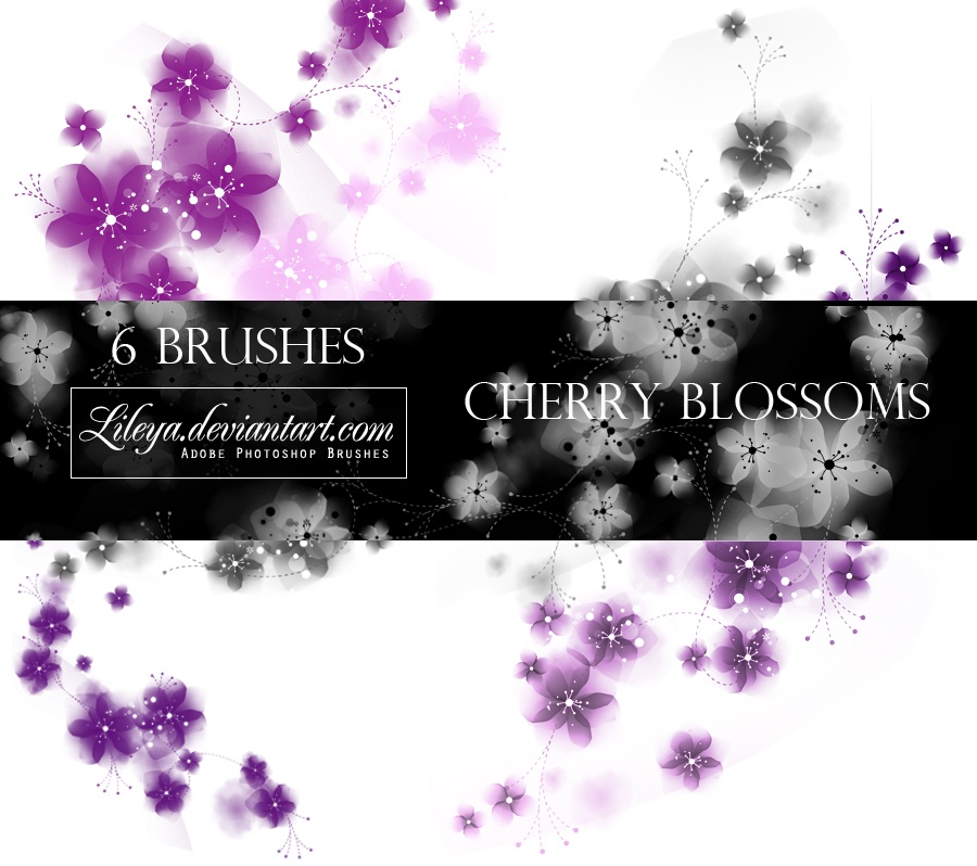 Cherry Blossoms PS Brushes Photoshop brush