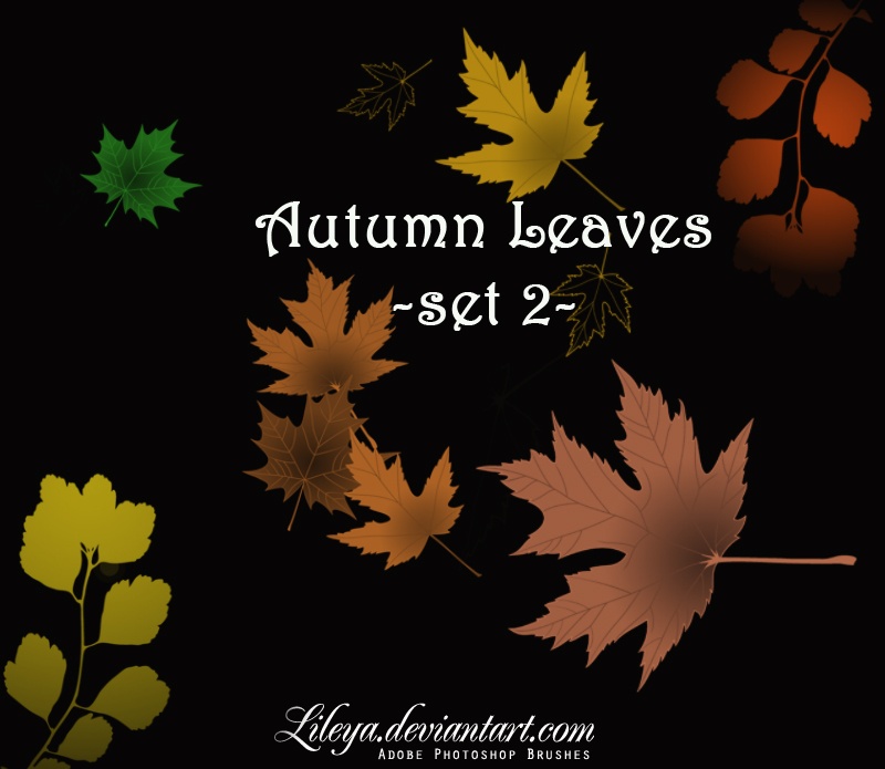 Autumn Leaves set 2 Photoshop brush