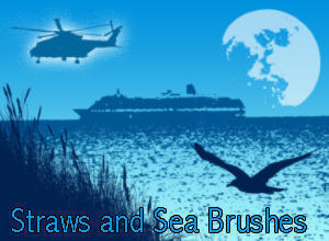 Straws and Sea Brushes Photoshop brush
