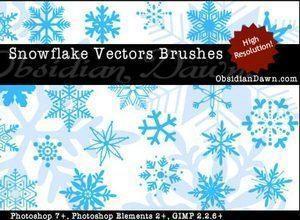 Snowflake Vector Brushes for Photoshop Photoshop brush