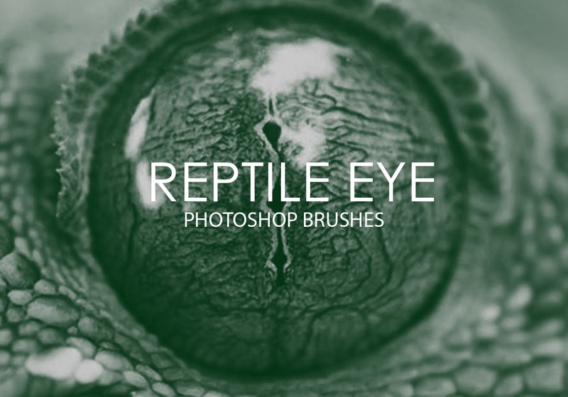 Free Reptile Eye Photoshop Brushes Photoshop brush