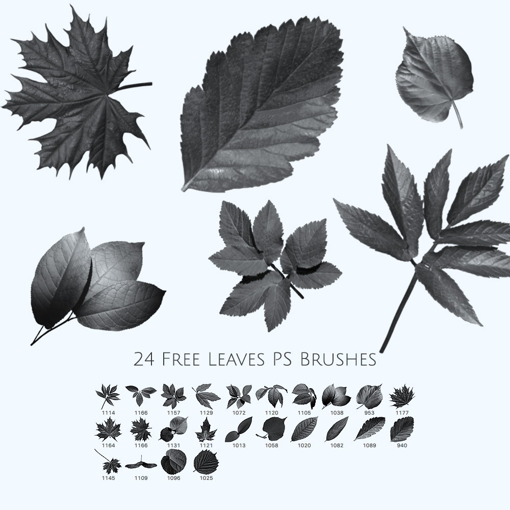 24 Free Leaves Photoshop Brushes Photoshop brush