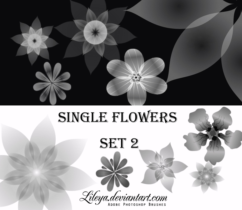 Single Flowers -set 2- Photoshop brush