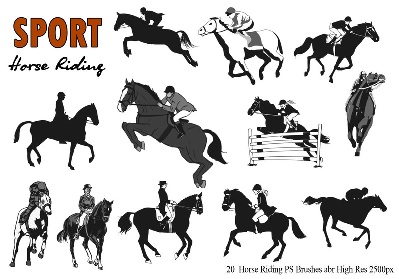 20 horse riding ps brushes abr