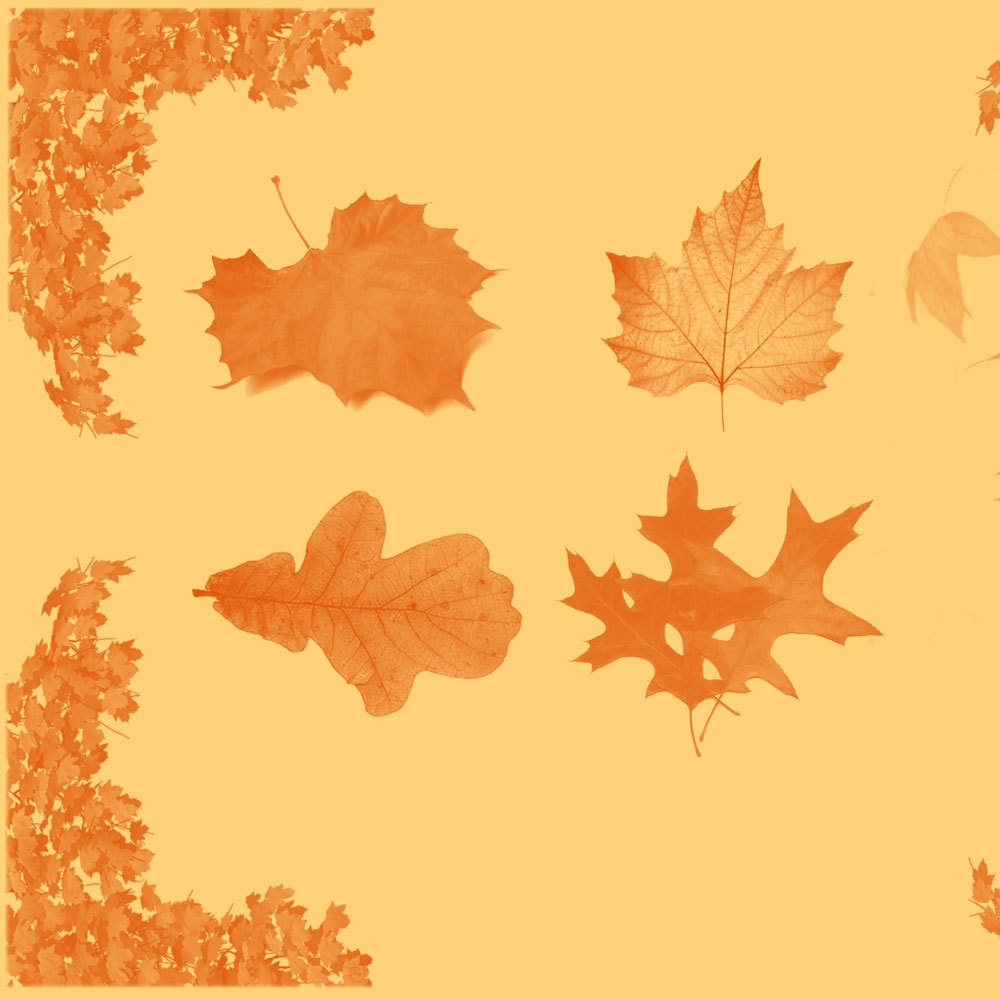 fall leafs adobe photoshop brushes
