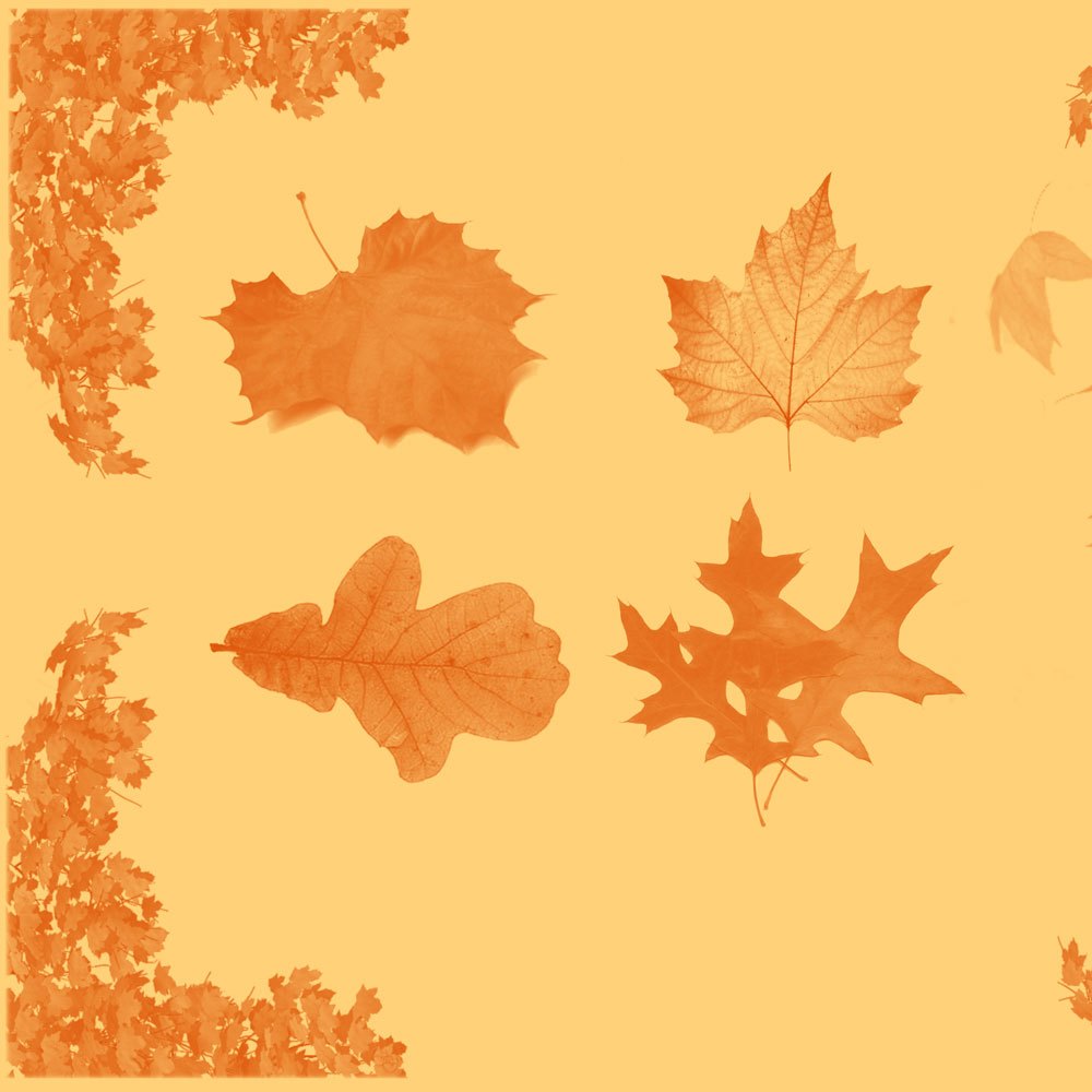 autumn leaf brushset nature photoshop