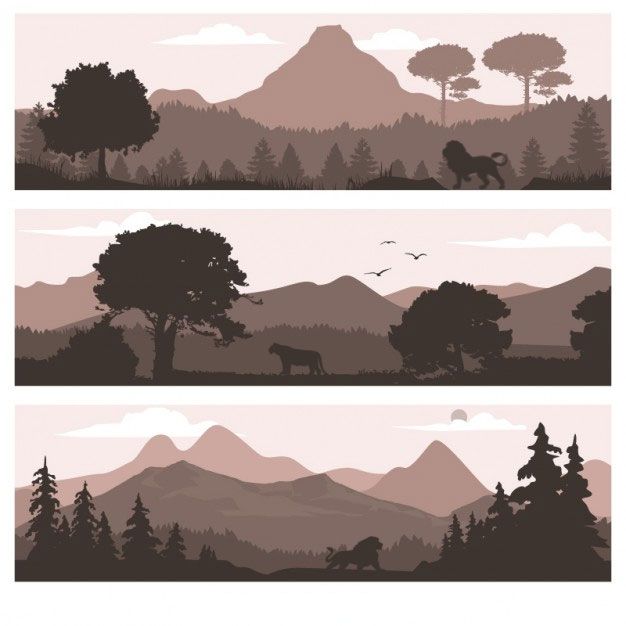 huge pack of lions nature photoshop