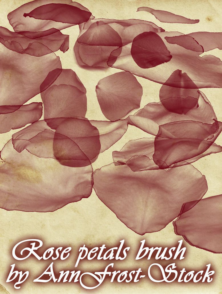 Rose petals brush Photoshop brush