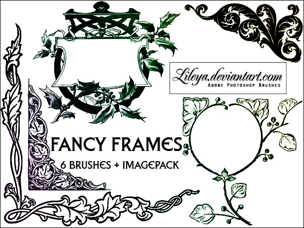 Fancy Frames Photoshop brush