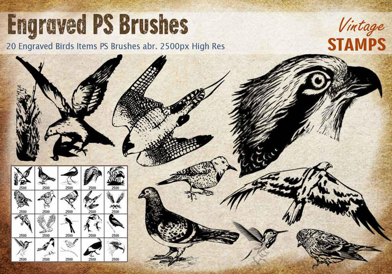 engraved bird ps brushes vintage