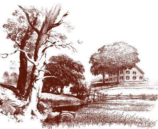 cottage brushes flowers photoshop