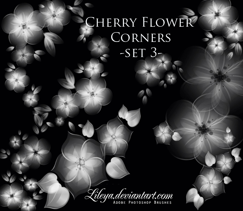 Cherry Flower corners Photoshop brush