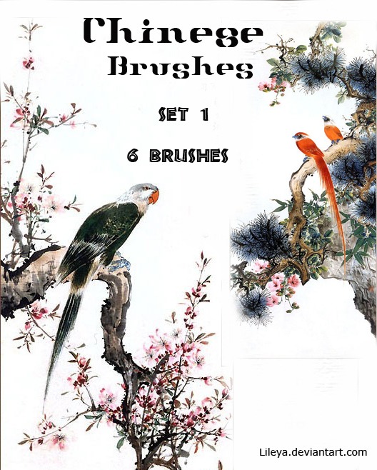 chinese brushes decorative photoshop