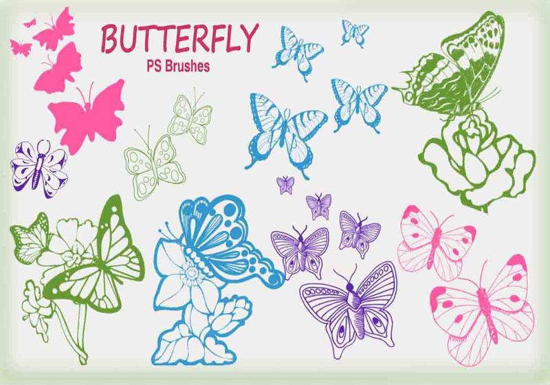 20 Butterfly PS Brushes abr.Vol.6 Photoshop brush