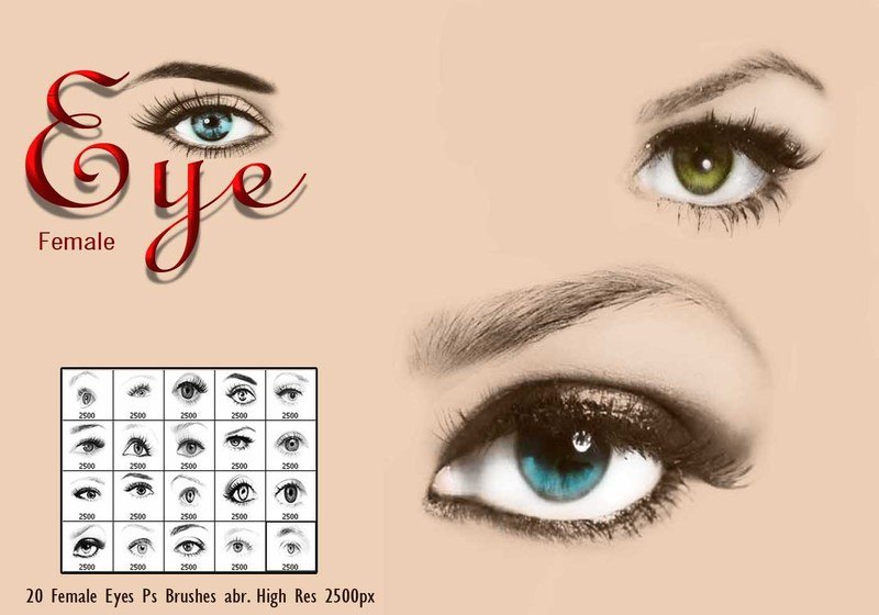 20 Female Eye Ps Brushes Photoshop brush