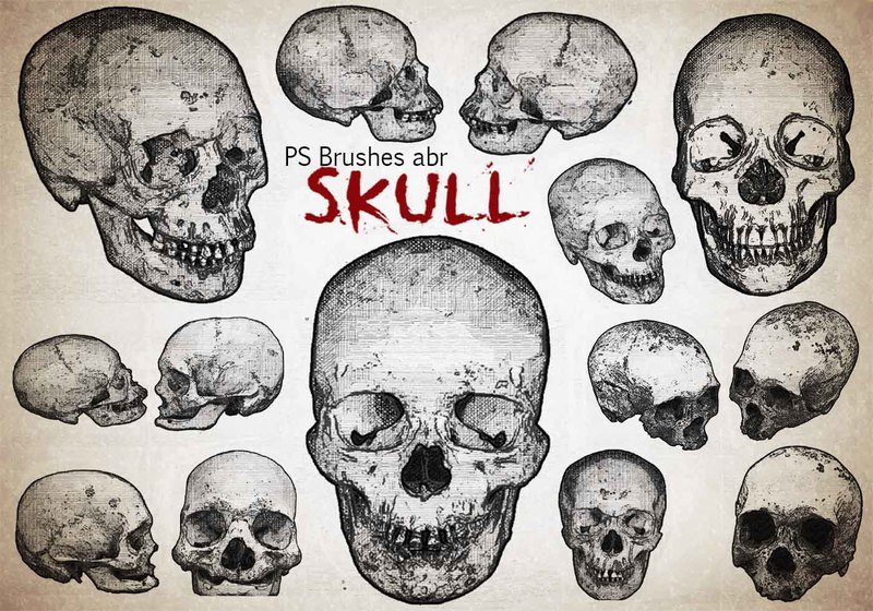 20 Engraved Skull PS Brushes abr  vol.7 Photoshop brush